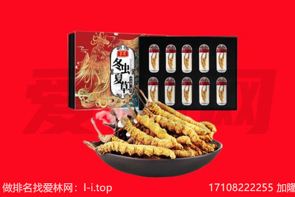名山区回收虫草.jpg